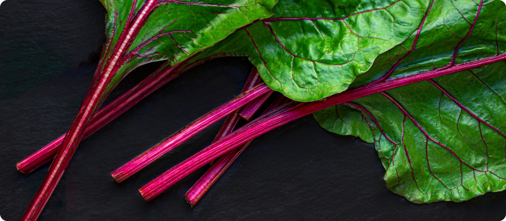 rhubarb: our flavor of the moment | Metarom