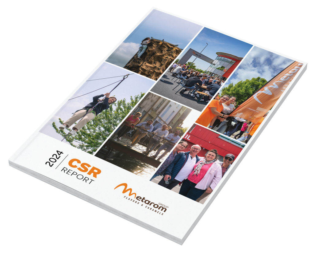 rapport rse 2024 metarom