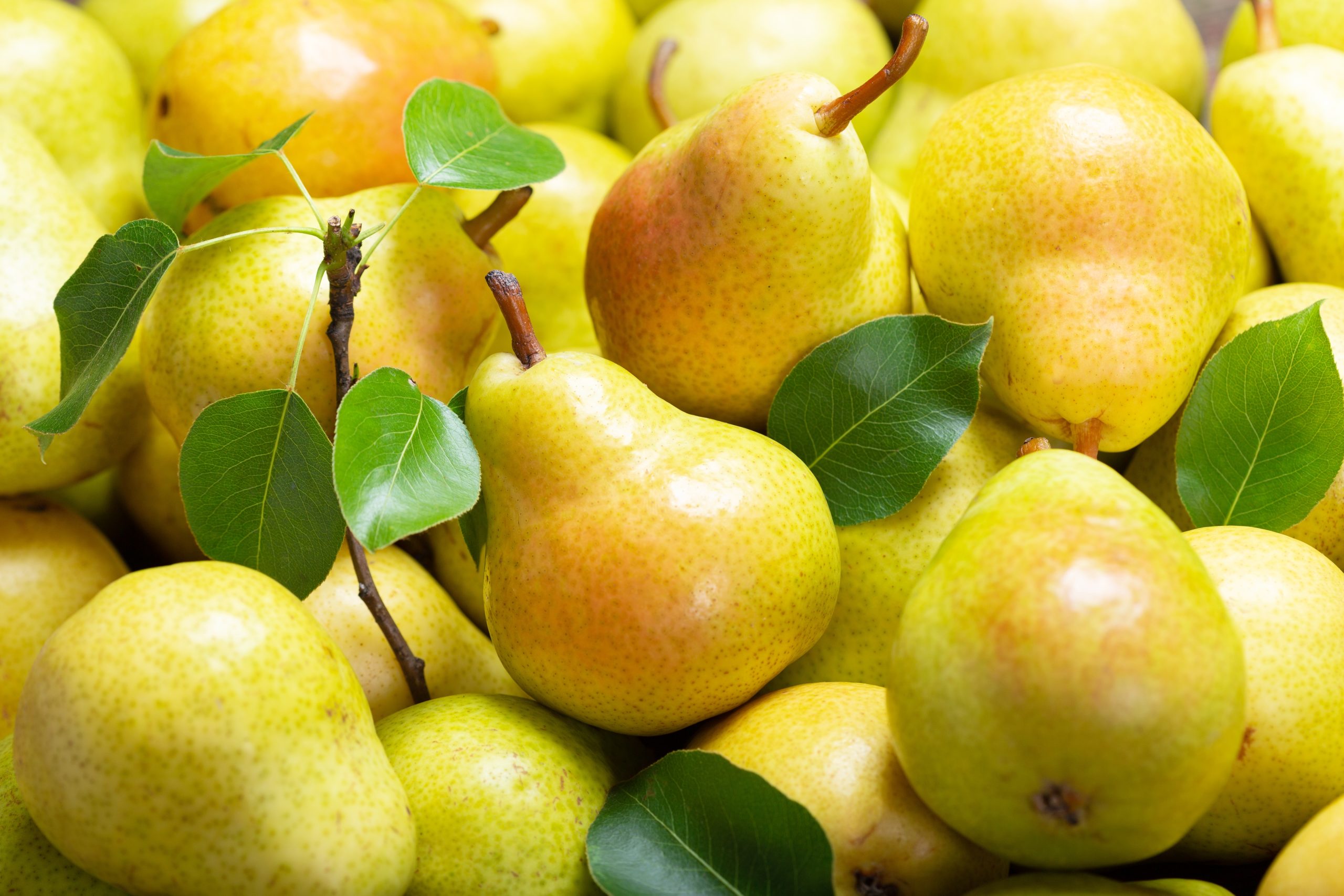 poire