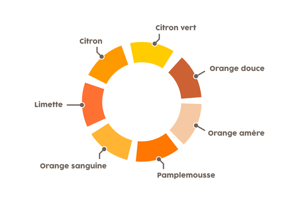 schéma roue aromatique agrumes