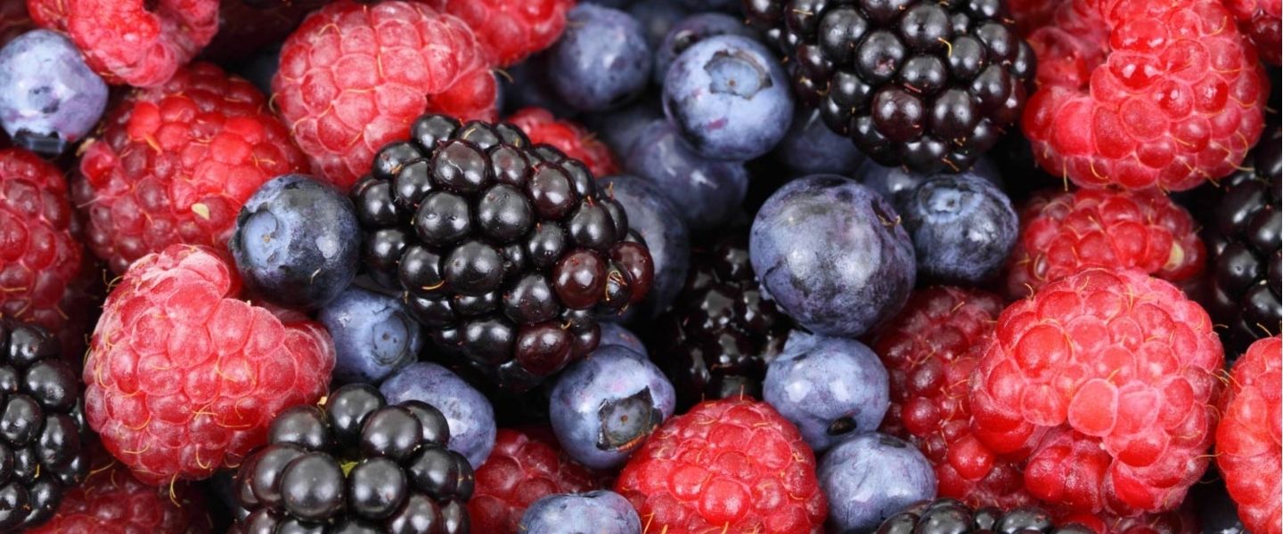 FRUITS ROUGES ET BAIES