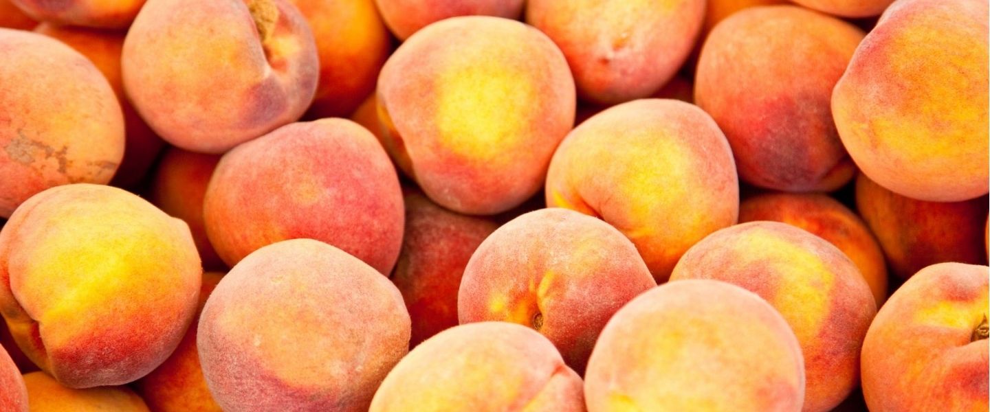 OBSTGARTENFRÜCHTE