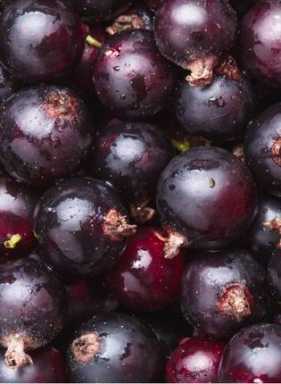 CASSIS AROME NATUREL
