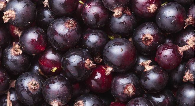 CASSIS AROME NATUREL