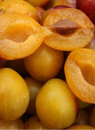 MIRABELLE FLAVOUR