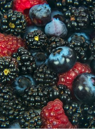 FRUITS DES BOIS AROME