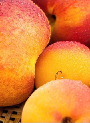 PEACH – APRICOT FLAVOUR