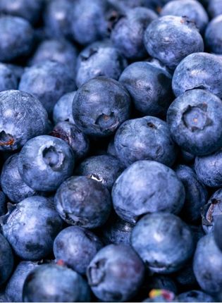 BLUEBERRY FLAVOUR