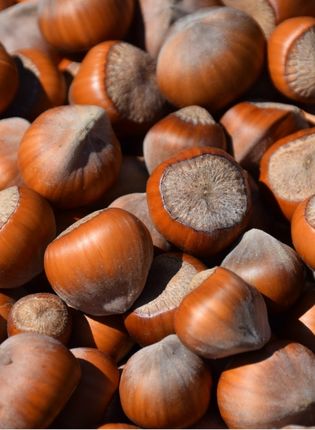 NATÜRLICHES HASELNUSS AROMA