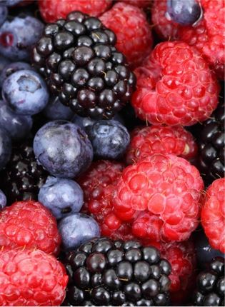 FRUITS DES BOIS AROME