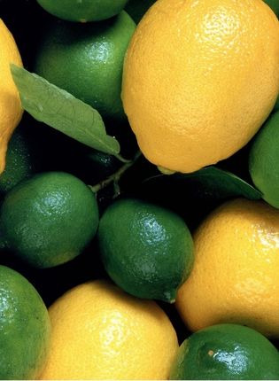 LEMON – LIME NATURAL FLAVOUR